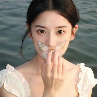 战地莺花